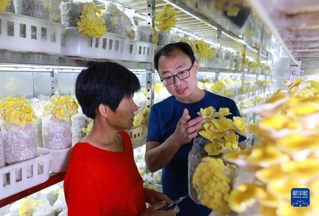 天天电玩城官方下载